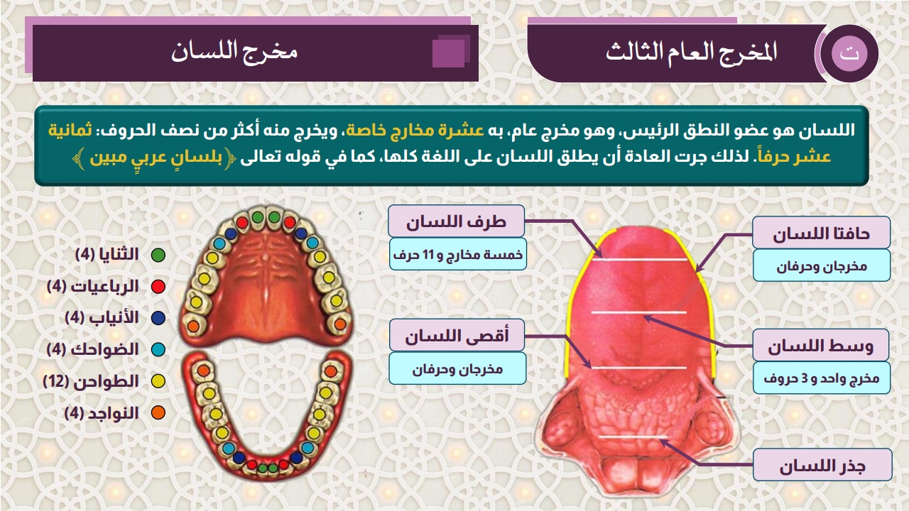 مخارج الحروف - الصفحة 8